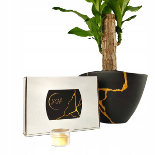 KINTSUGI Gold TECHNIKA SADA NA OPRAVU KERAMIKA
